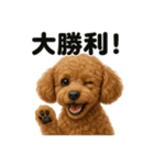【褒め上手】ポジティブなトイプードル（個別スタンプ：4）