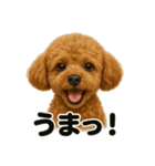 【褒め上手】ポジティブなトイプードル（個別スタンプ：6）