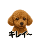 【褒め上手】ポジティブなトイプードル（個別スタンプ：7）