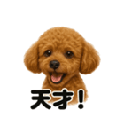 【褒め上手】ポジティブなトイプードル（個別スタンプ：8）