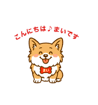 コーギーまいまいその5（個別スタンプ：1）
