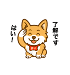 コーギーまいまいその5（個別スタンプ：3）