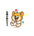コーギーまいまいその5（個別スタンプ：8）