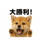 【褒め上手】リアル可愛い子犬の柴犬ライン（個別スタンプ：4）