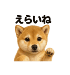 【褒め上手】リアル可愛い子犬の柴犬ライン（個別スタンプ：14）