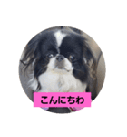 hujikoちゃん（個別スタンプ：1）