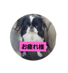 hujikoちゃん（個別スタンプ：2）
