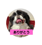hujikoちゃん（個別スタンプ：3）