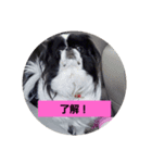 hujikoちゃん（個別スタンプ：4）