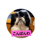 hujikoちゃん（個別スタンプ：6）