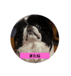 hujikoちゃん（個別スタンプ：7）