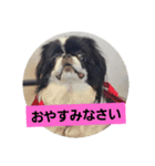 hujikoちゃん（個別スタンプ：8）