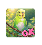 「セキセイインコ」のスタンプ（個別スタンプ：5）
