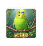 「セキセイインコ」のスタンプ（個別スタンプ：6）