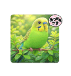 「セキセイインコ」のスタンプ（個別スタンプ：12）