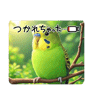 「セキセイインコ」のスタンプ（個別スタンプ：20）
