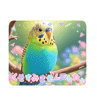 「セキセイインコ」のスタンプ（個別スタンプ：23）