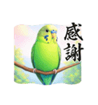 「セキセイインコ」のスタンプ（個別スタンプ：25）