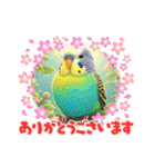 「セキセイインコ」のスタンプ（個別スタンプ：28）