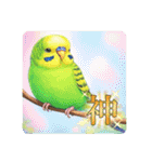 「セキセイインコ」のスタンプ（個別スタンプ：38）