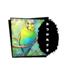 「セキセイインコ」のスタンプ（個別スタンプ：39）