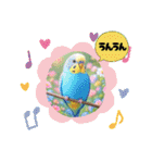 「セキセイインコ」のスタンプ（個別スタンプ：40）