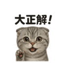 【褒め上手】スコティッシュホールドライン（個別スタンプ：2）