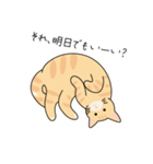 猫のコタロー♡（個別スタンプ：1）