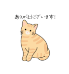 猫のコタロー♡（個別スタンプ：2）