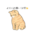 猫のコタロー♡（個別スタンプ：3）