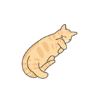 猫のコタロー♡（個別スタンプ：5）