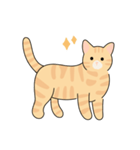 猫のコタロー♡（個別スタンプ：6）
