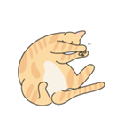 猫のコタロー♡（個別スタンプ：7）