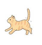 猫のコタロー♡（個別スタンプ：8）