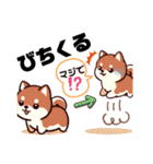 続・土佐弁わんこの毎日（個別スタンプ：3）