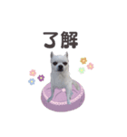 きらちゃんスタンプ0202（個別スタンプ：4）