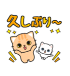 毎日使えるあいさつ色々 #ネコナール4（個別スタンプ：27）