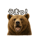 【褒め言葉】リアルすぎるヒグマのLINE（個別スタンプ：6）