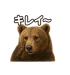 【褒め言葉】リアルすぎるヒグマのLINE（個別スタンプ：7）
