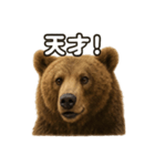 【褒め言葉】リアルすぎるヒグマのLINE（個別スタンプ：8）