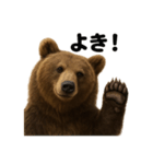 【褒め言葉】リアルすぎるヒグマのLINE（個別スタンプ：9）