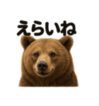 【褒め言葉】リアルすぎるヒグマのLINE（個別スタンプ：13）