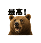 【褒め言葉】リアルすぎるヒグマのLINE（個別スタンプ：16）