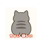 ぽっちゃり猫スタンプver.1（個別スタンプ：1）