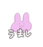 うさのあいさつ、気持ちとか①（個別スタンプ：24）