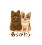 きよちゃんfamily✩（個別スタンプ：4）