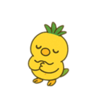 パインコ（個別スタンプ：13）