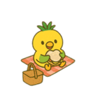 パインコ（個別スタンプ：17）