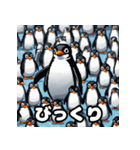 いろんな表情のペンギンスタンプ（個別スタンプ：2）