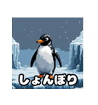 いろんな表情のペンギンスタンプ（個別スタンプ：3）